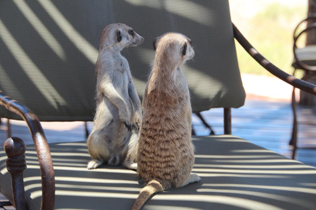 Kalahari Red Dunes Lodge Kalkrand Dış mekan fotoğraf