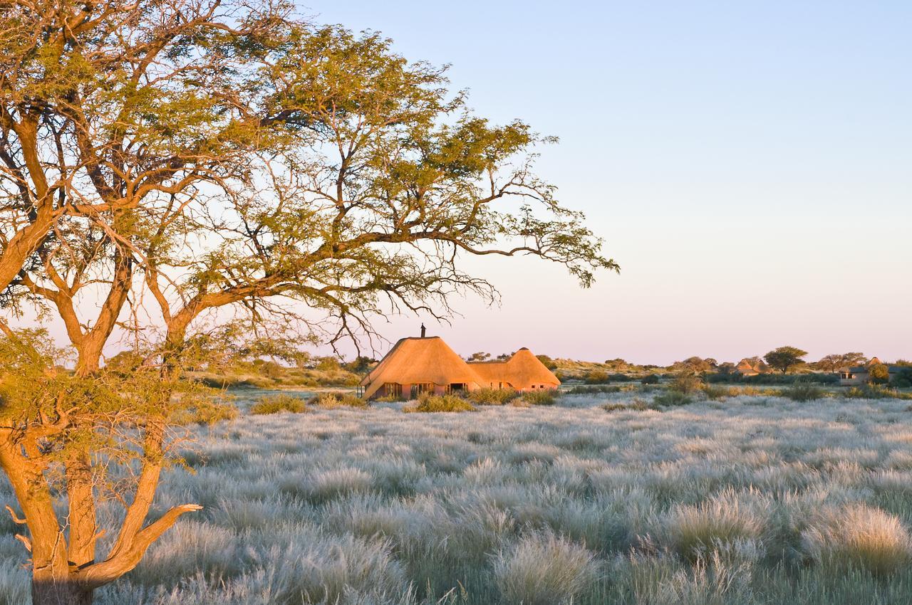 Kalahari Red Dunes Lodge Kalkrand Dış mekan fotoğraf